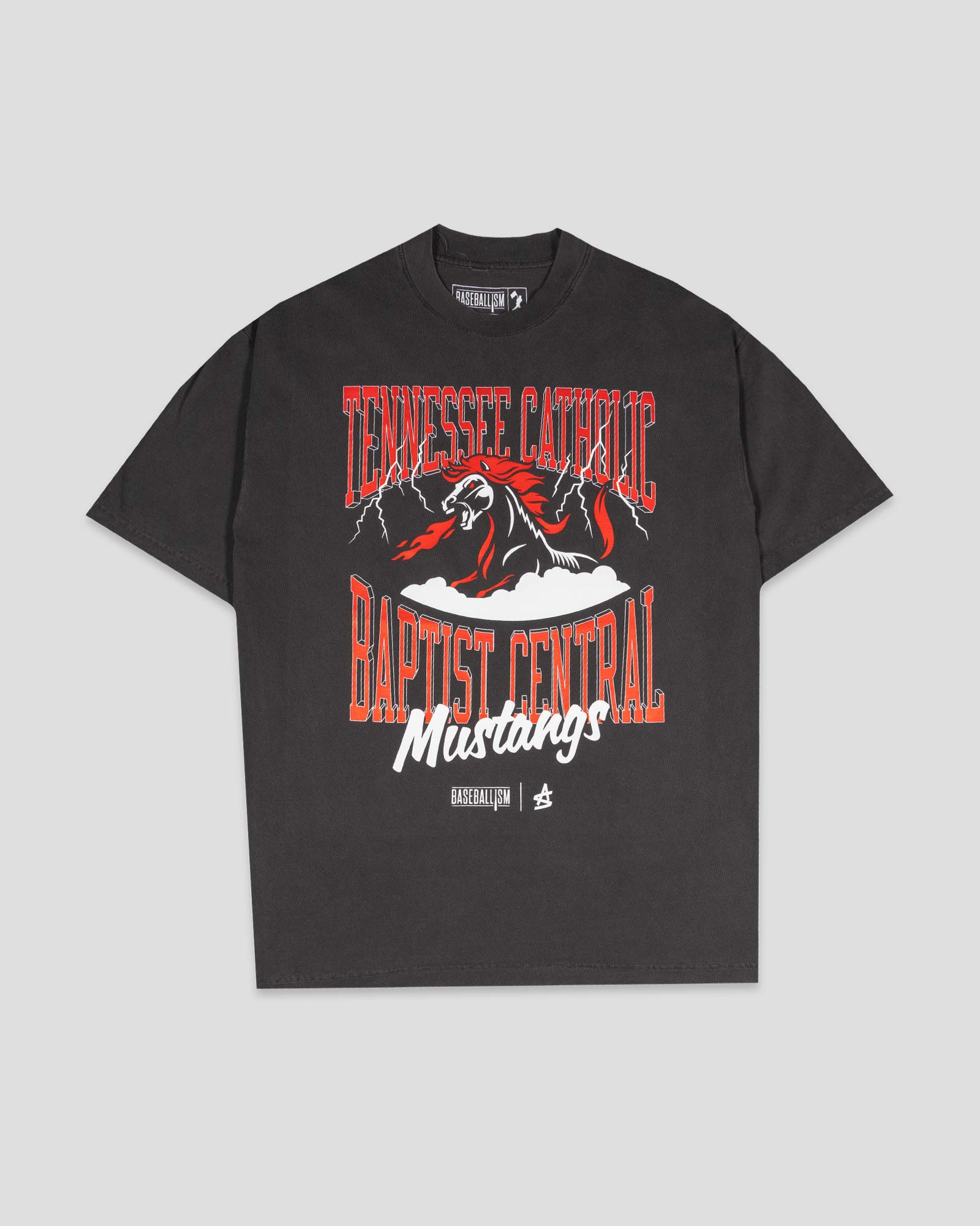 TennesseeCatholicBaptistCentra