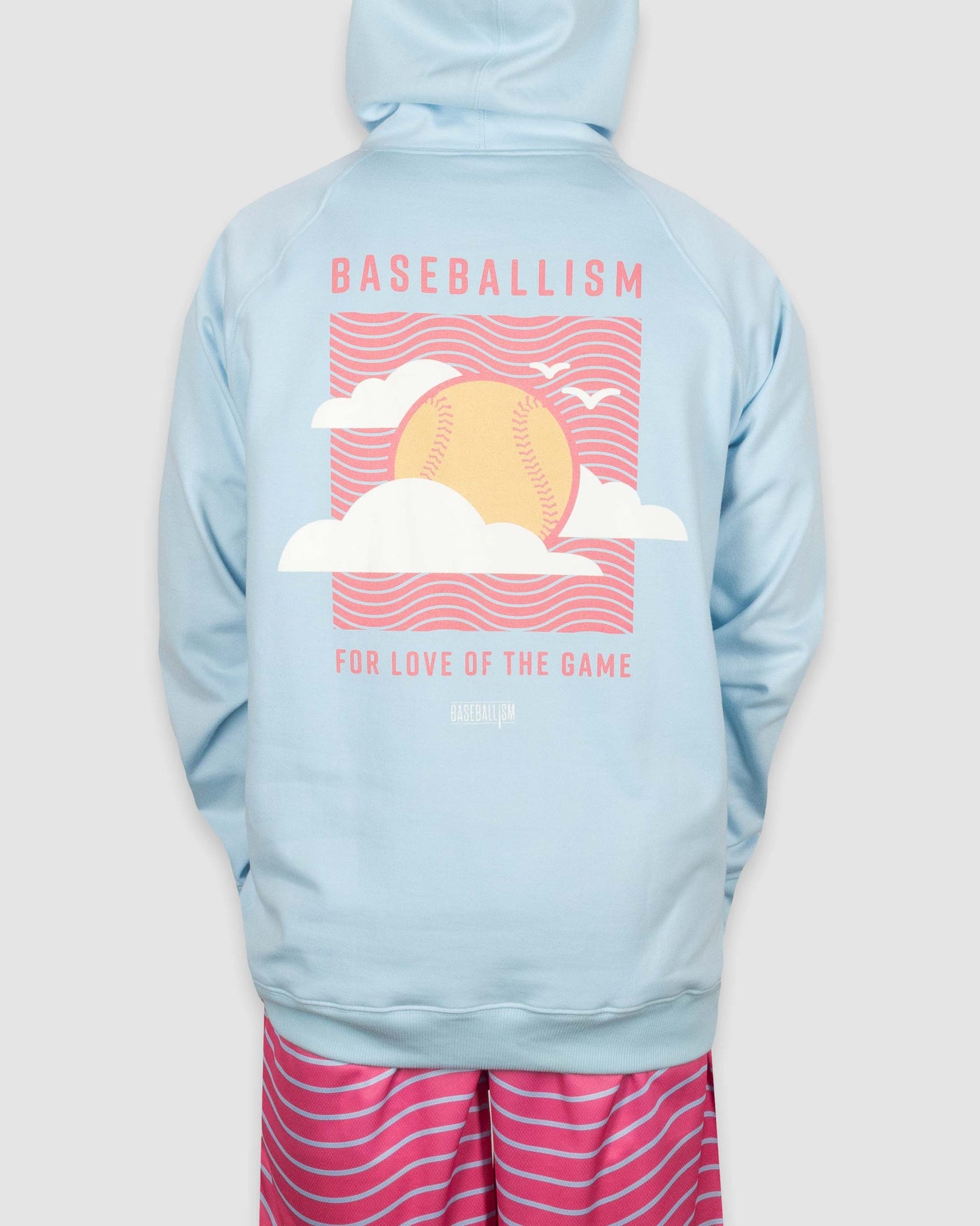 Big Fly Sky Hoodie - Baseballism Online