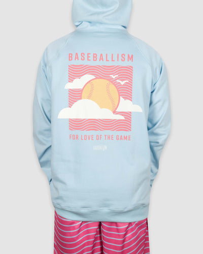 Big Fly Sky Hoodie - Baseballism Online