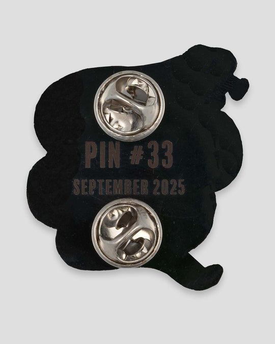 Pin of the Month - September 2025 - Pitcher Dojo
