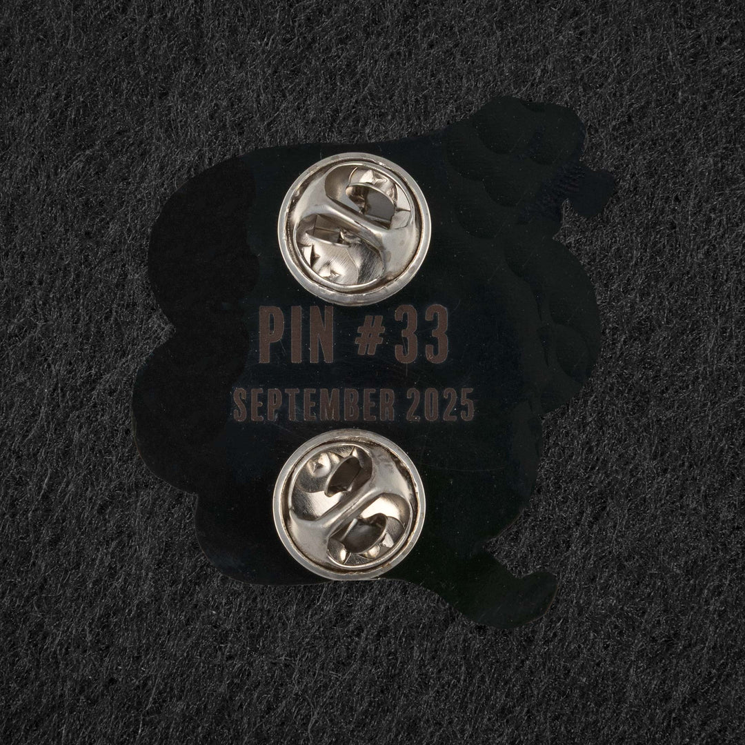 Pin of the Month - September 2025 - Pitcher Dojo