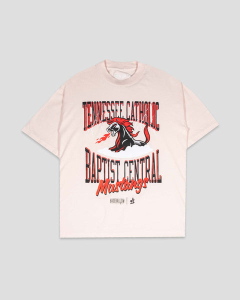 TennesseeCatholicBaptistCentra