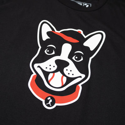 Boston Terrier - Bow Wow Collection